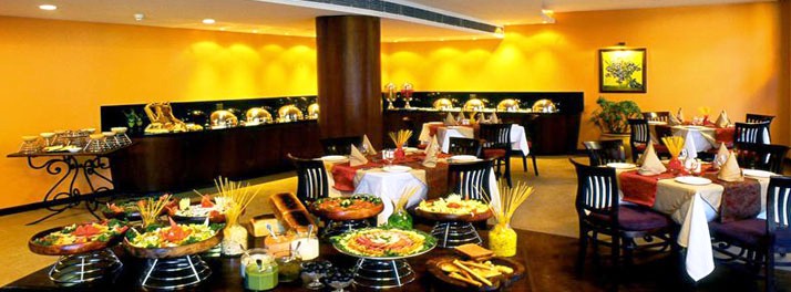 262/The Manu Maharani Hotel & Spa - Nainital 06.jpg